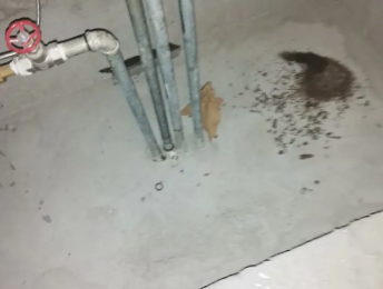 长沙卫生间测漏水价格明细